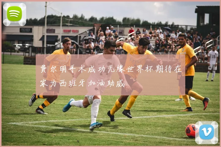 费尔明手术成功无缘世界杯期待在家为西班牙加油助威