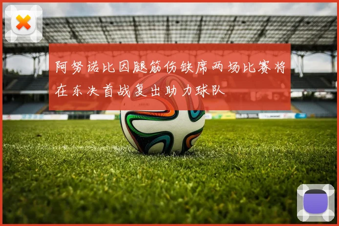 阿努诺比因腿筋伤缺席两场比赛将在东决首战复出助力球队